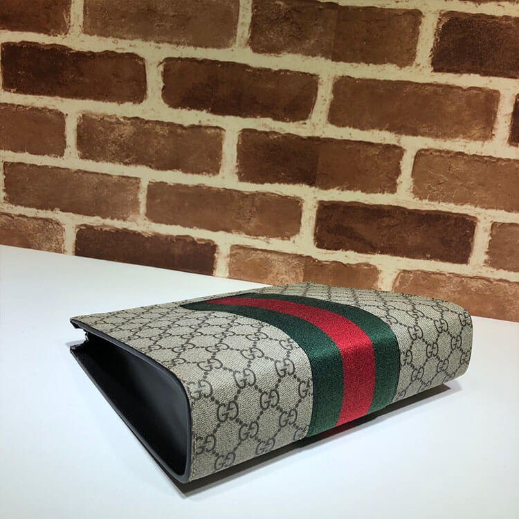 gg S*p*e web pouch